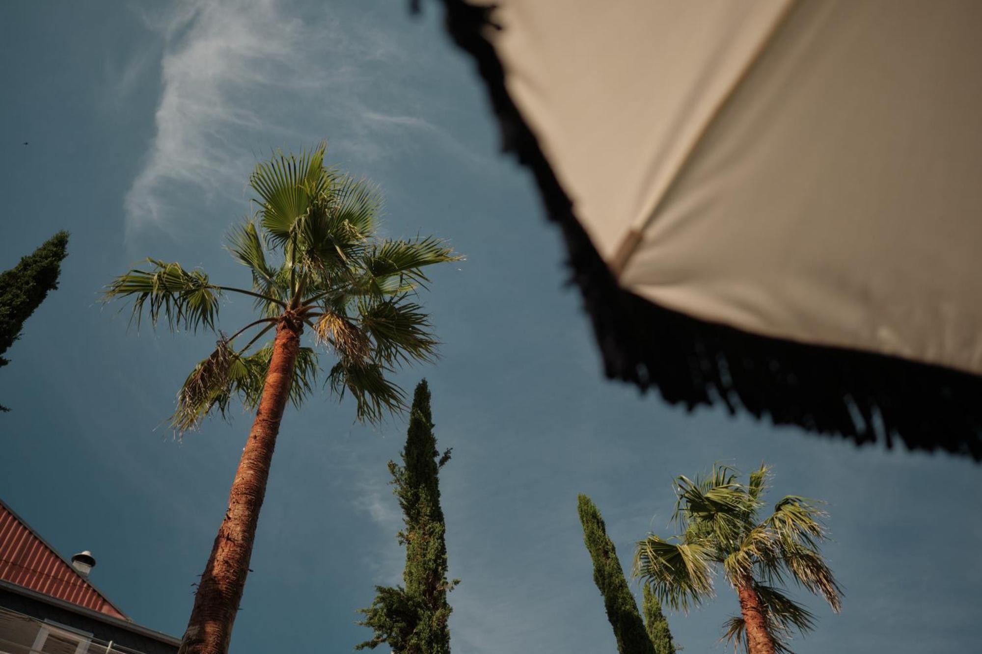 Ga Palace Hotel & Spa, A Xixth-Century Villa Porto Exterior foto Palm trees in the city
